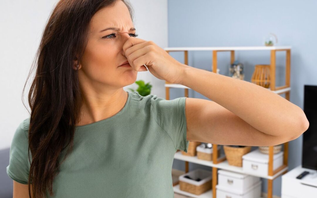 Eliminate unpleasant odors from your home