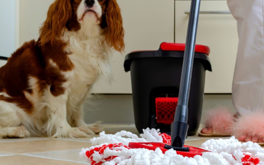 The best tips for cleaning a house with pets